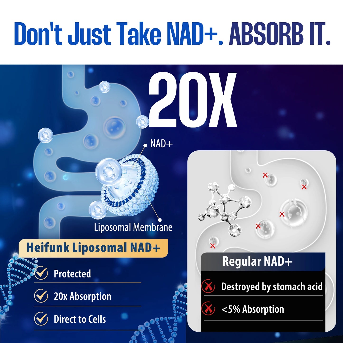 BIYODE Liposomal NAD Supplement 1450mg NAD Resveratrol For Cellular Health