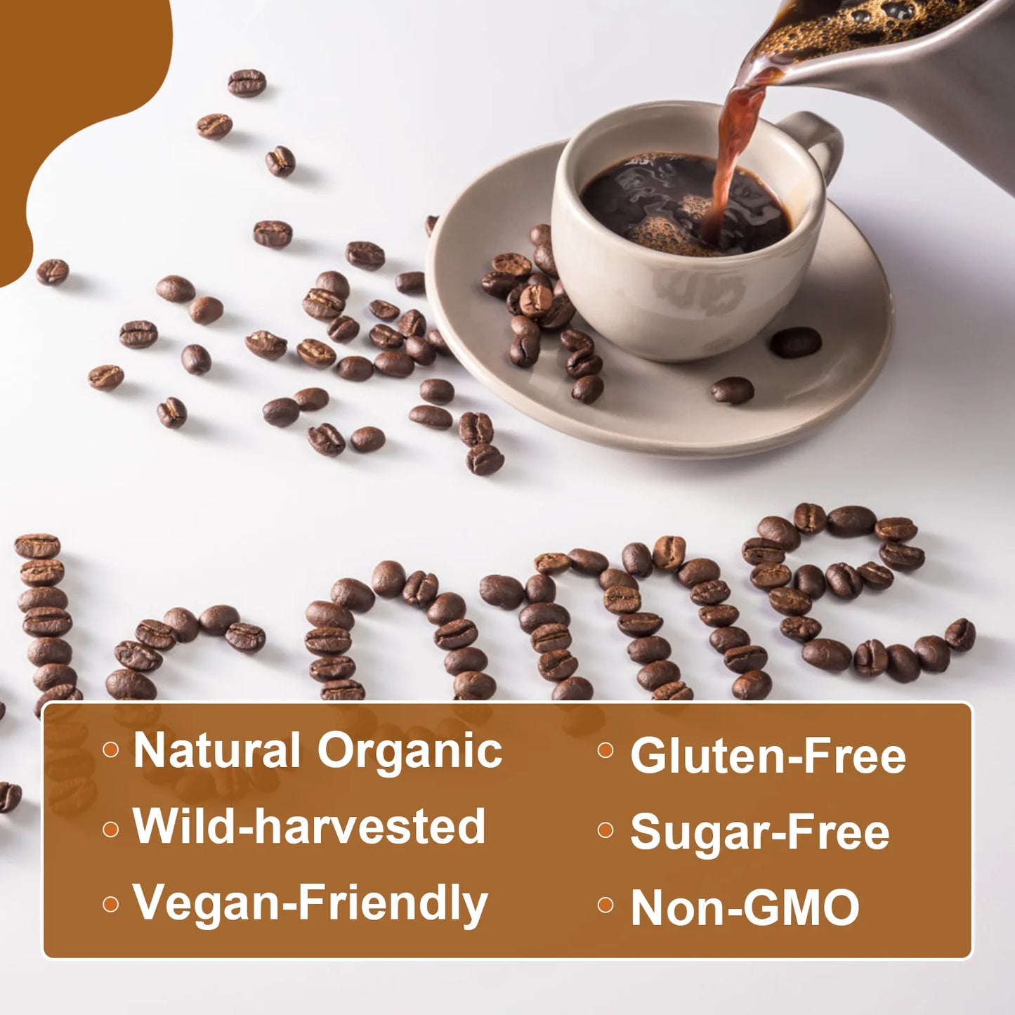 Beworths Mushroom Coffee Reishi Lions Mane Immunity Focus