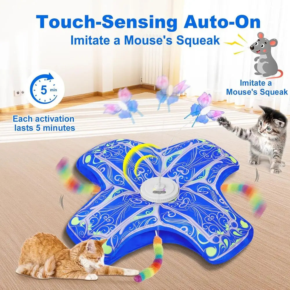 Interactive Indoor Cat Toy Dual Motion Rechargeable Touch And Seek