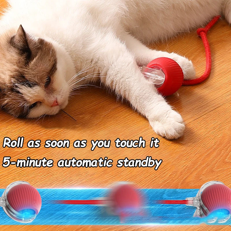Cat Interactive Ball Toy Automatic Rolling Imitates Mouse