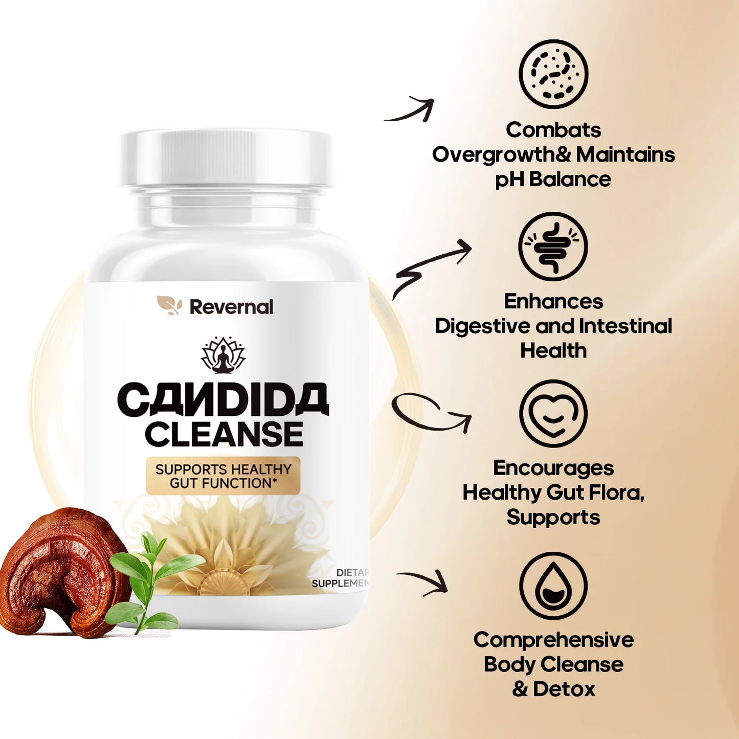 Quit Mood Candida Cleanse Gut And Colon Support Oregano Leaf 60 Capsules