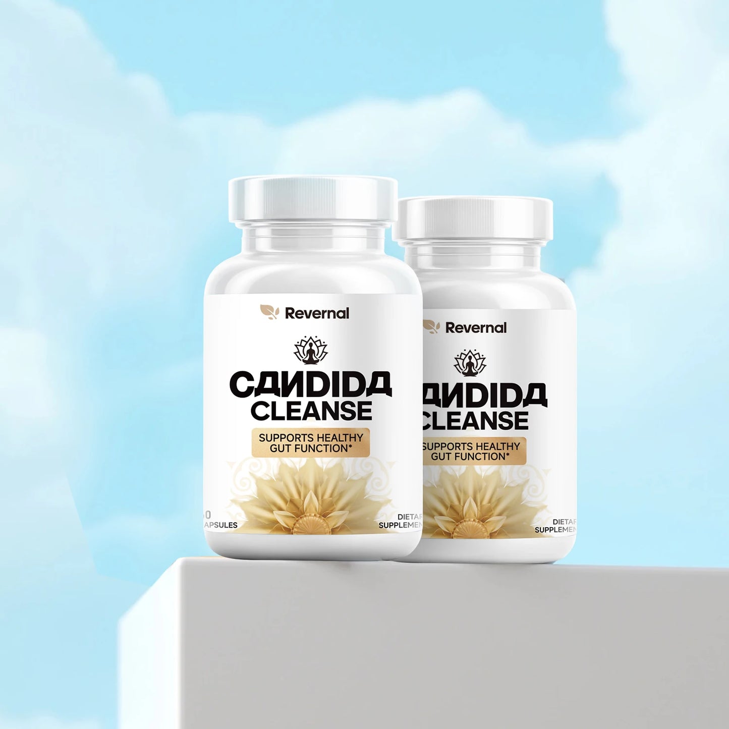 Quit Mood Candida Cleanse Gut And Colon Support Oregano Leaf 60 Capsules