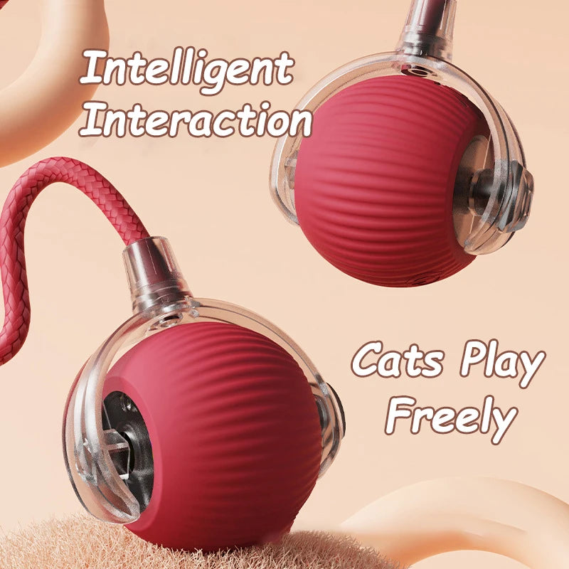 Cat Interactive Ball Toy Automatic Rolling Imitates Mouse