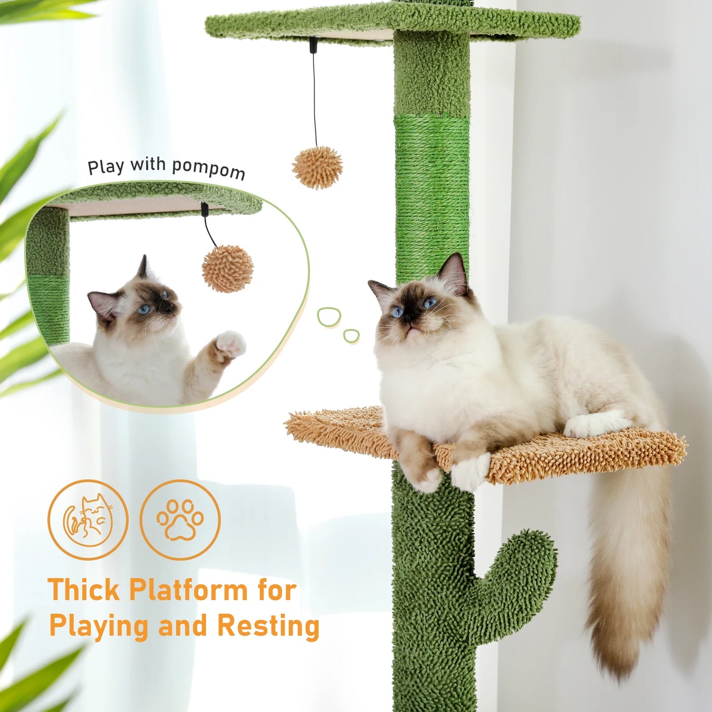 PAWZ Road Cat Tree 5Tier Floor To Ceiling Cactus Climber