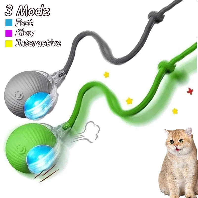 Cat Interactive Ball Toy Automatic Rolling Imitates Mouse