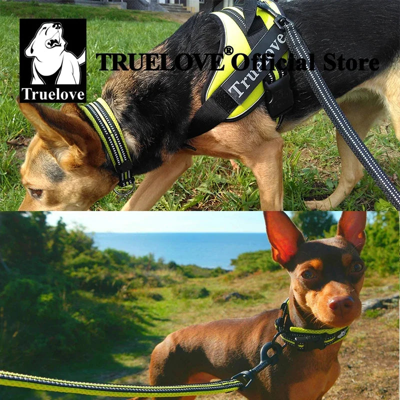 TrueLoveCN Dog Collar Nylon Adjustable Padded Reflective