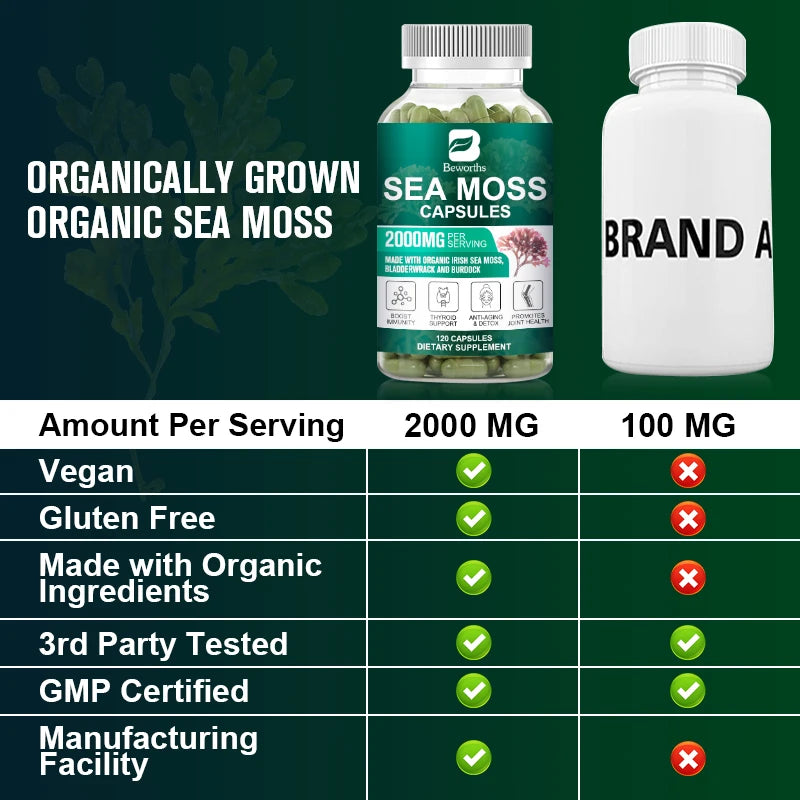 Beworths Organic Sea Moss Pills For Immune Support Thyroid Health