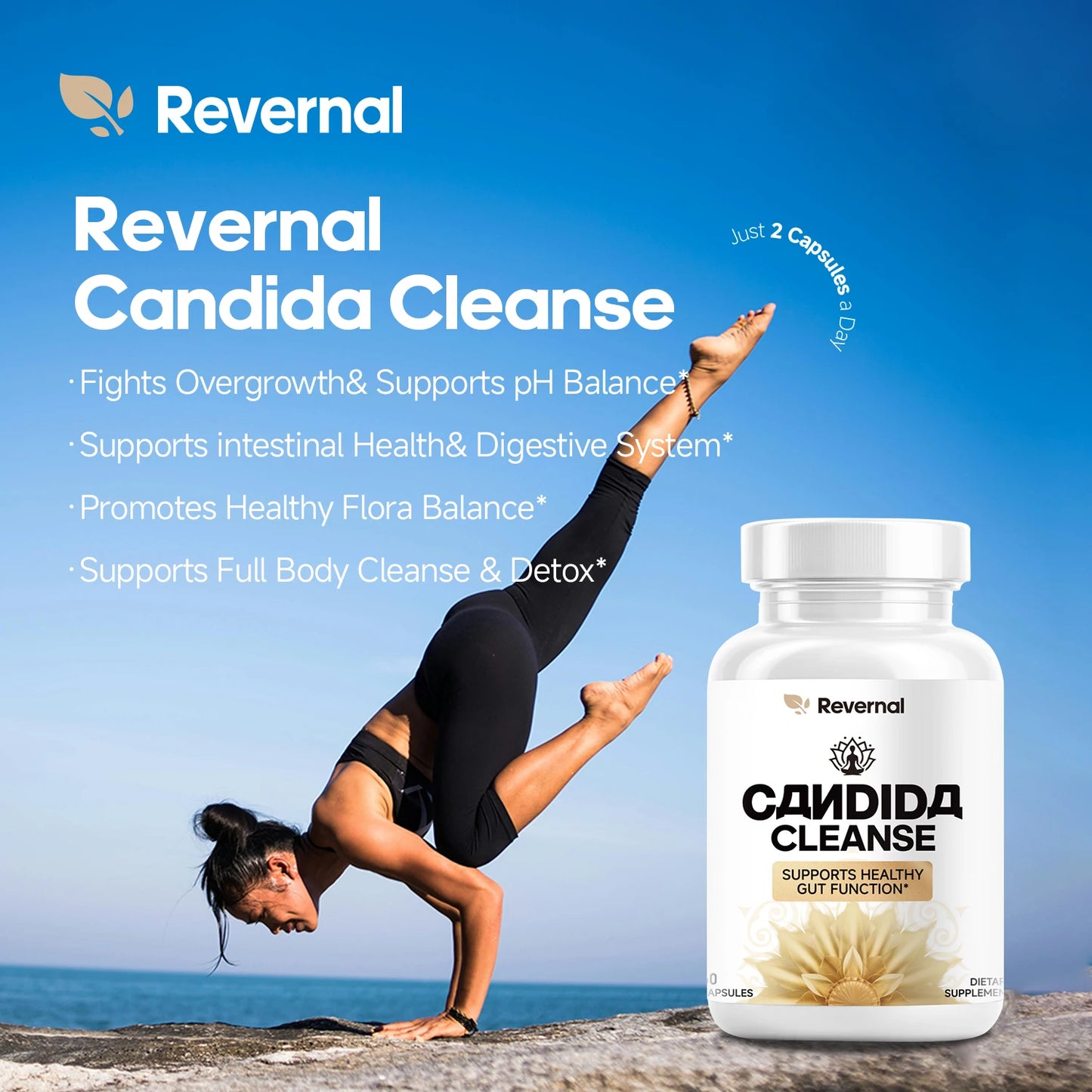 Quit Mood Candida Cleanse Gut And Colon Support Oregano Leaf 60 Capsules