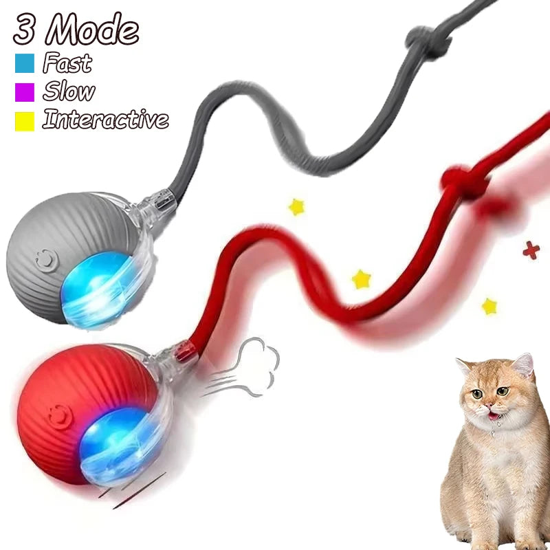 Cat Interactive Ball Toy Automatic Rolling Imitates Mouse